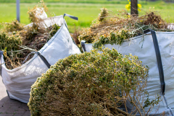 Best Appliance Removal Near Me  in Choccolocco, AL
